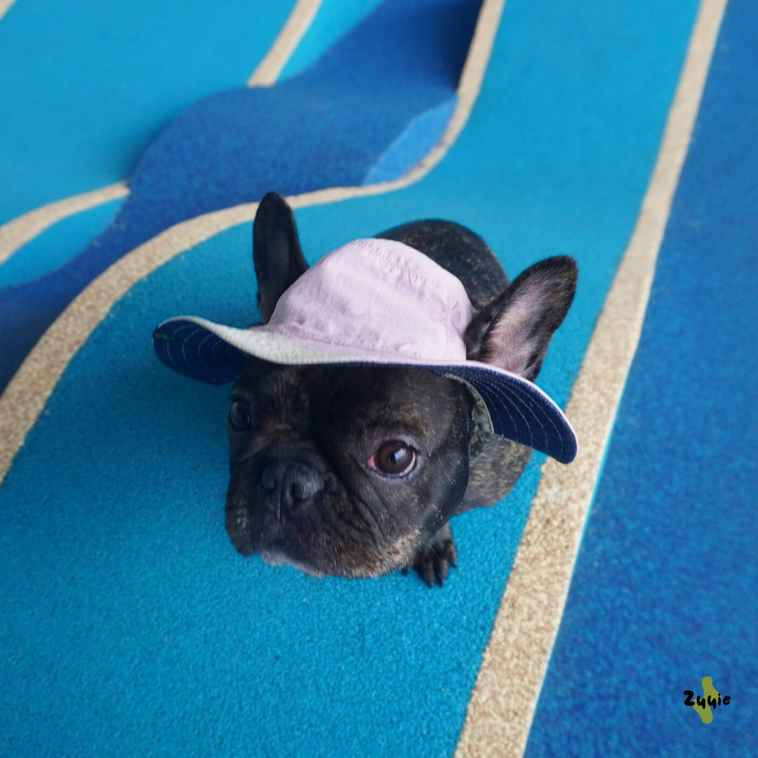 Nova Reversible Pet Bucket Hat | Outdoor Gear - Dusty Pink