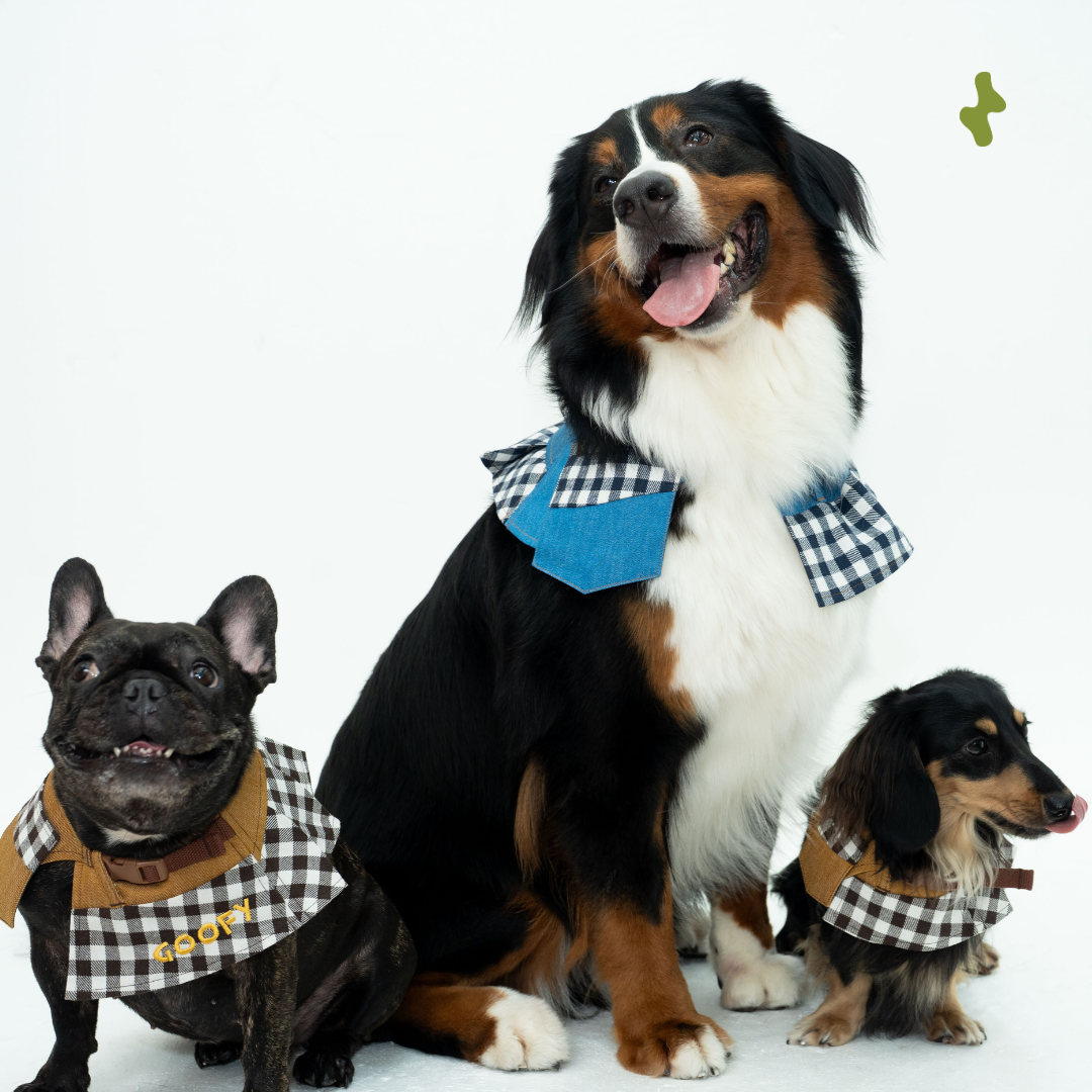 Workwear Denim Collar | Blu Blue (PRE-ORDER)