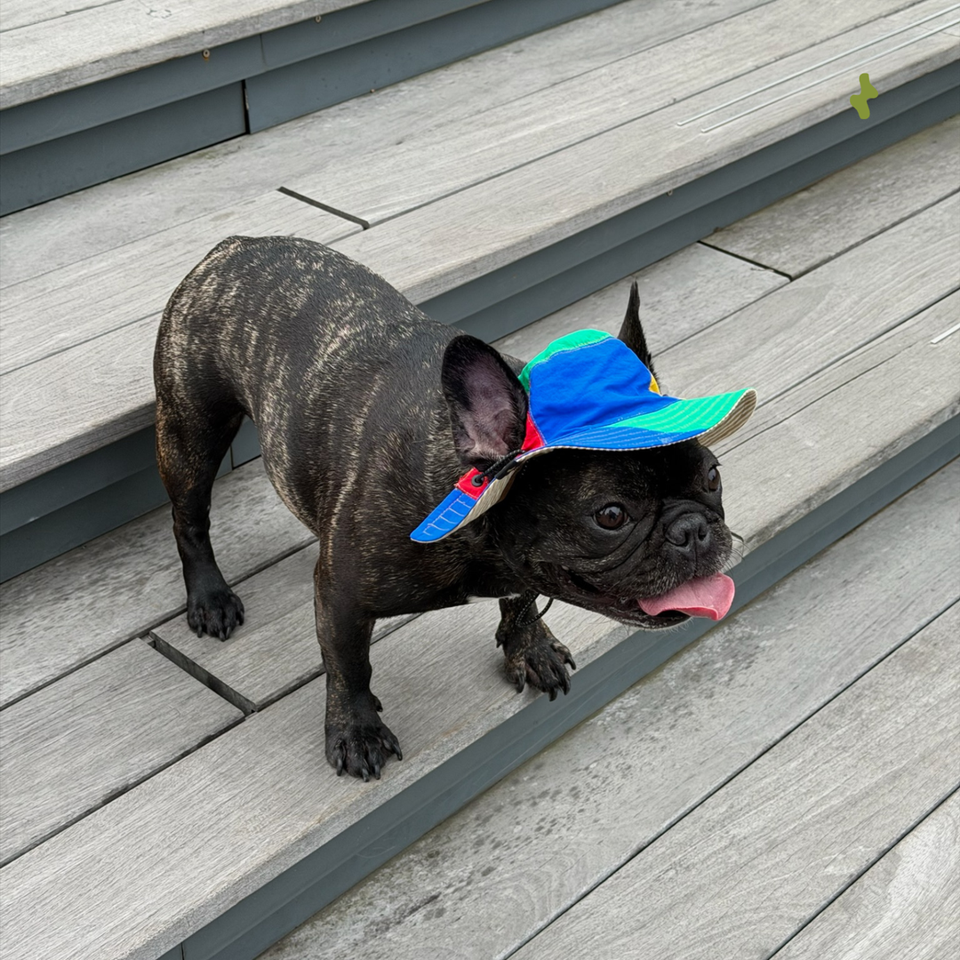 Nova Reversible Pet Bucket Hat | Outdoor Gear - Lego
