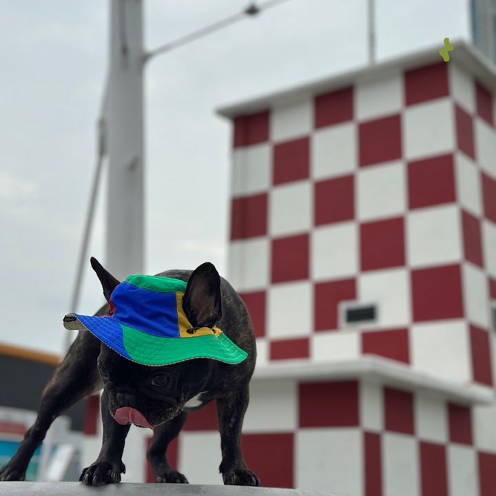 Nova Reversible Pet Bucket Hat | Outdoor Gear - Lego