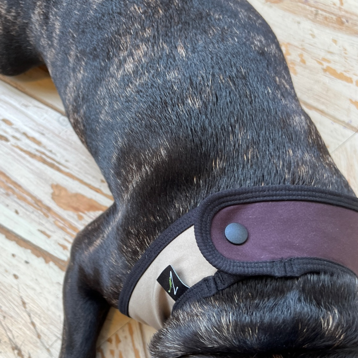 Luna Heather | Pet Styling Collar - Syrup Brown