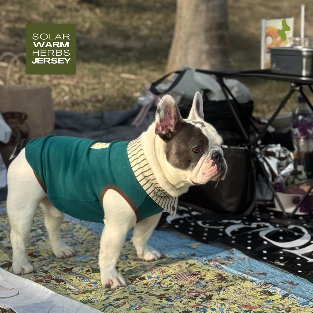 Solar Warm Herbs Jersey | Thermal Wear