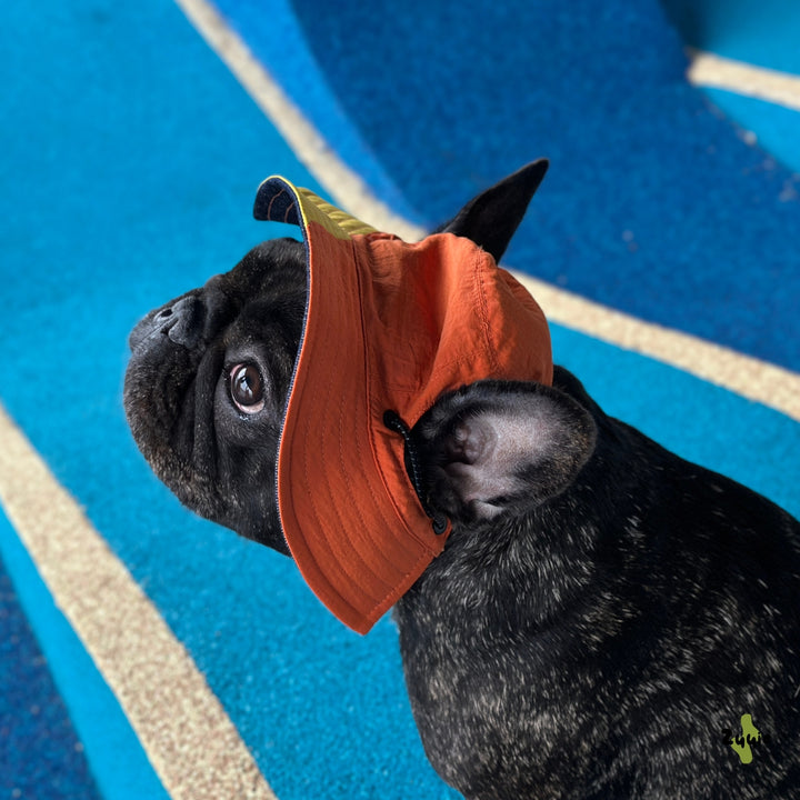 Nova Reversible Pet Bucket Hat | Outdoor Gear - Sunny Orange