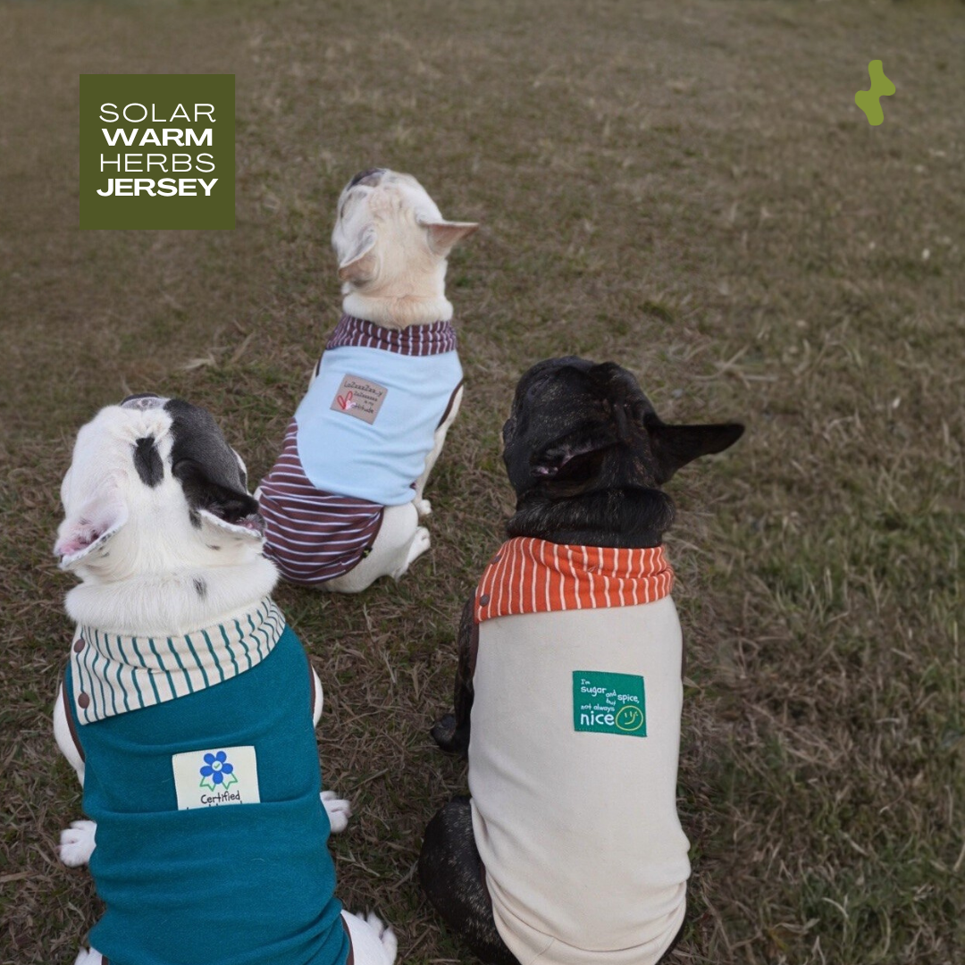 Solar Warm Herbs Jersey | Thermal Wear