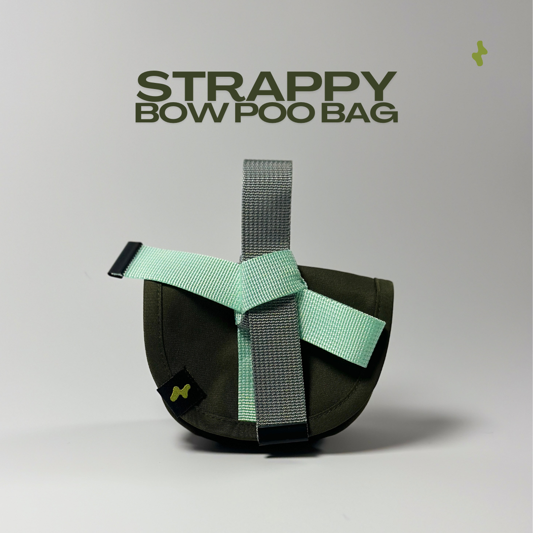 Strappy Bow Poo Bag | Dog Walker Accessory