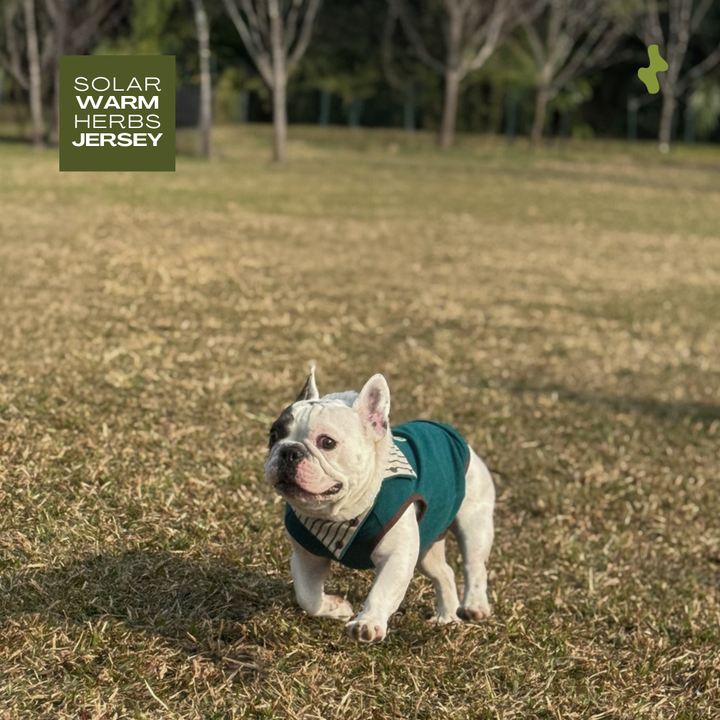 Solar Warm Herbs Jersey | Thermal Wear