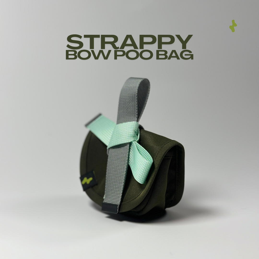 Strappy Bow Poo Bag | Dog Walker Accessory