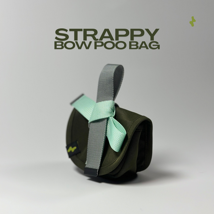 Strappy Bow Poo Bag | Dog Walker Accessory