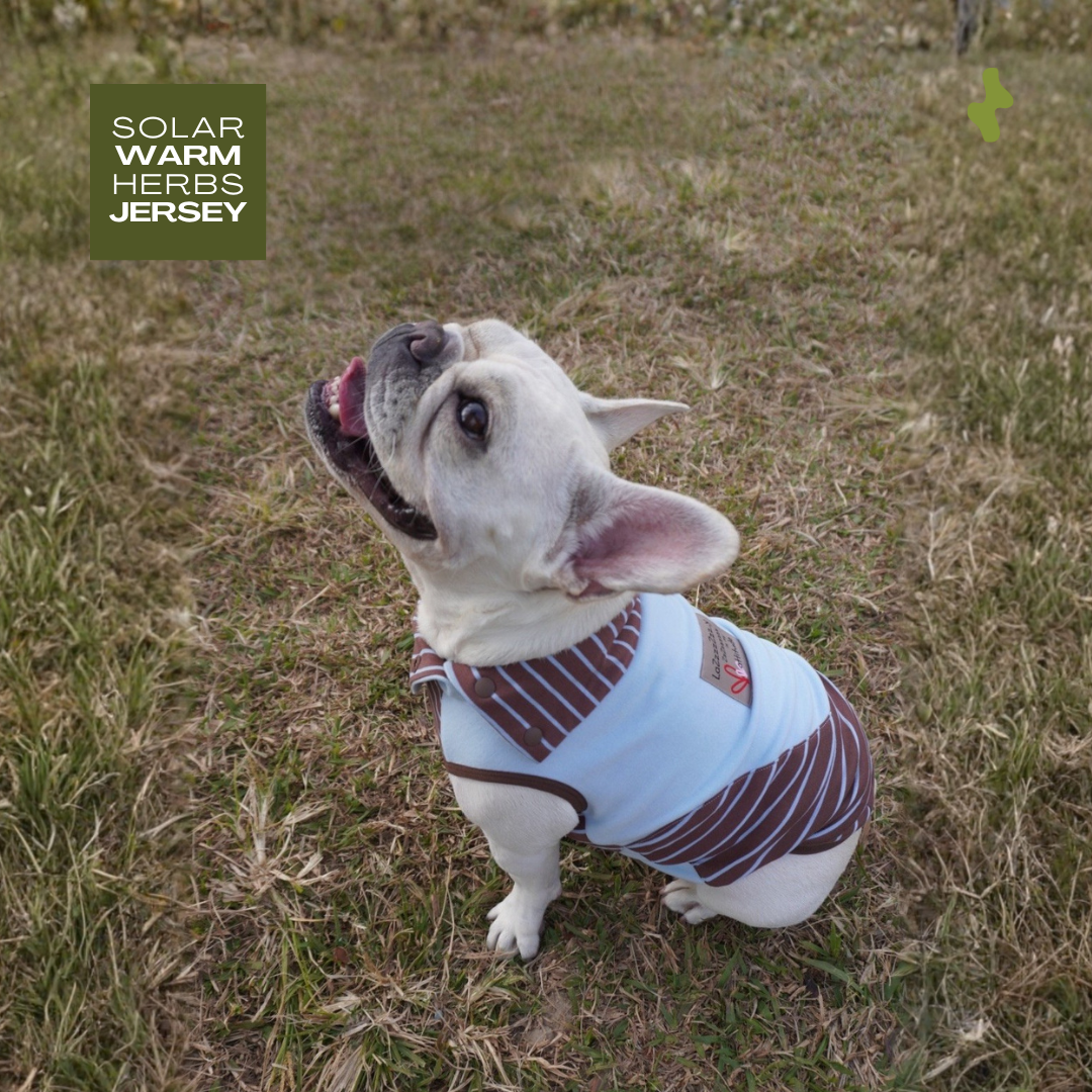 Solar Warm Herbs Jersey | Thermal Wear