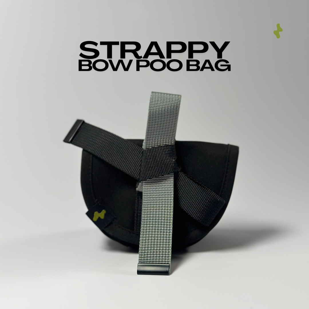 Strappy Bow Poo Bag | Dog Walker Accessory
