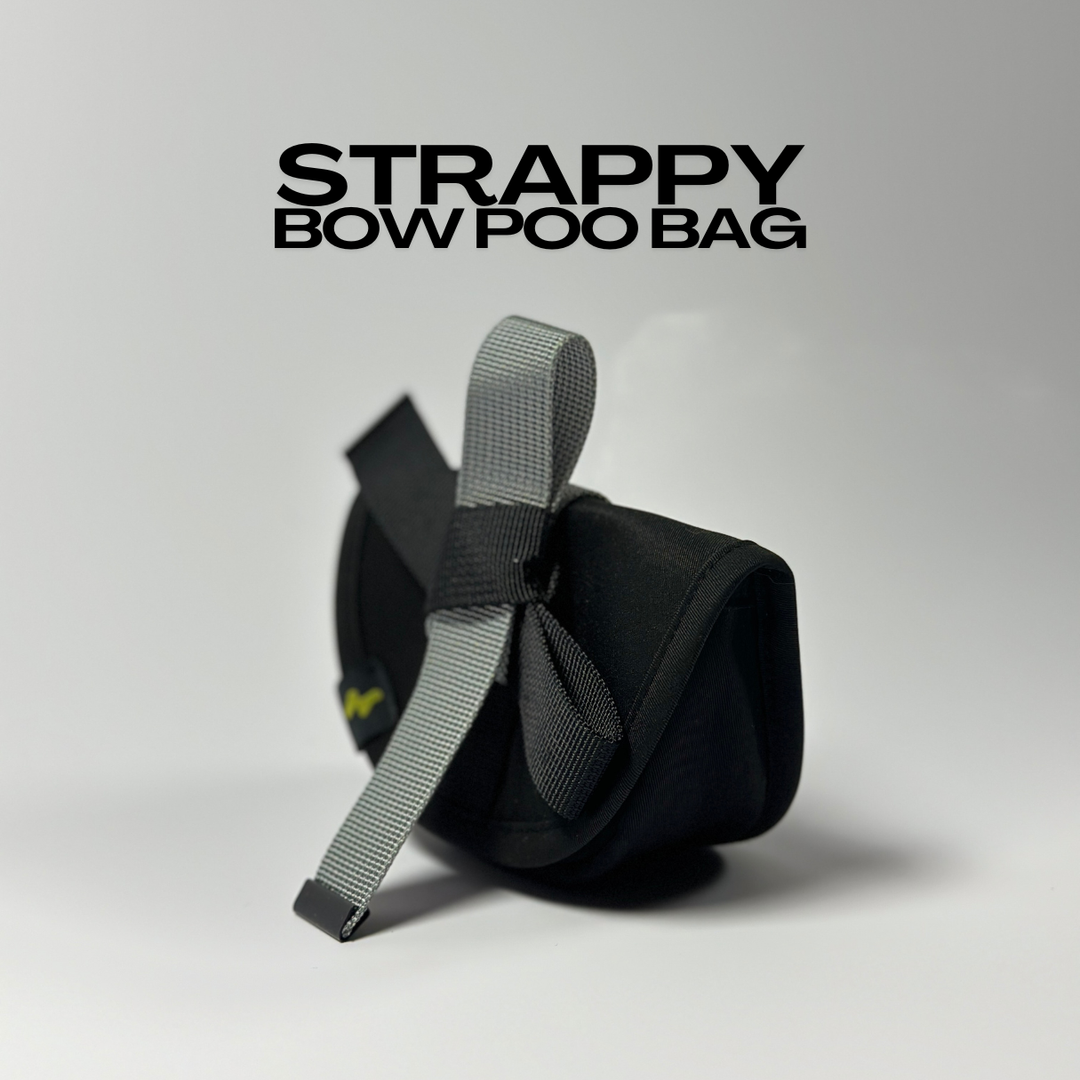 Strappy Bow Poo Bag | Dog Walker Accessory