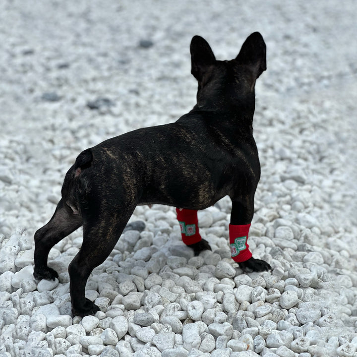 Pet Leg Warmers Accessory | Fat Dou Chu Tou