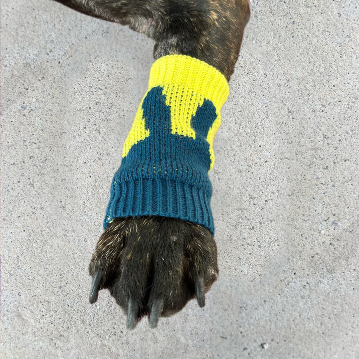 Pet Leg Warmers Accessory | Bunny Come Money Come