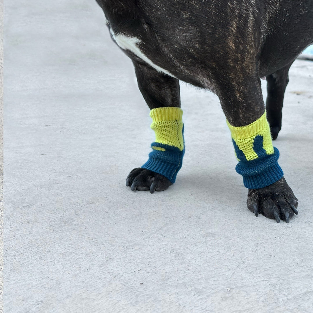 Pet Leg Warmers Accessory | Bunny Come Money Come